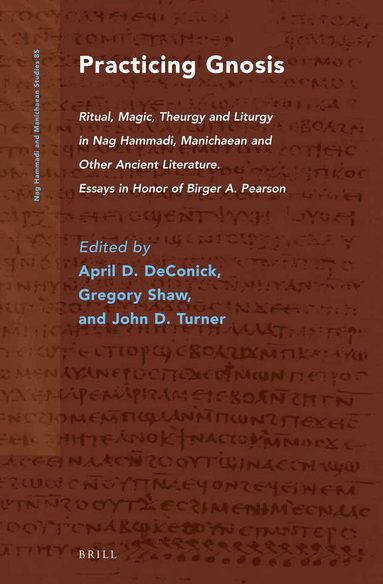 April DeConick, Gregory Shaw, John D. Turner - Practicing Gnosis, Inbunden