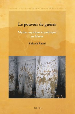 bokomslag Le pouvoir de guérir