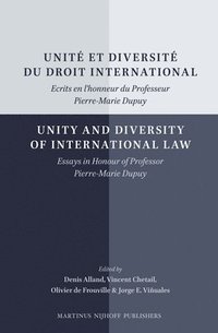 bokomslag Unité Et Diversité Du Droit International/Unity and Diversity of International Law: Ecrits En l'Honneur Du Professeur Pierre-Marie Dupuy/Essays in Hon