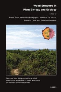 bokomslag Wood Structure in Plant Biology and Ecology