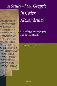bokomslag A Study of the Gospels in Codex Alexandrinus