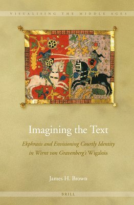 bokomslag Imagining the Text