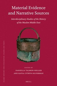 bokomslag Material Evidence and Narrative Sources