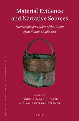 bokomslag Material Evidence and Narrative Sources