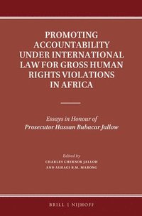 bokomslag Promoting Accountability Under International Law for Gross Human Rights Violations in Africa: Essays in Honour of Prosecutor Hassan Bubacar Jallow