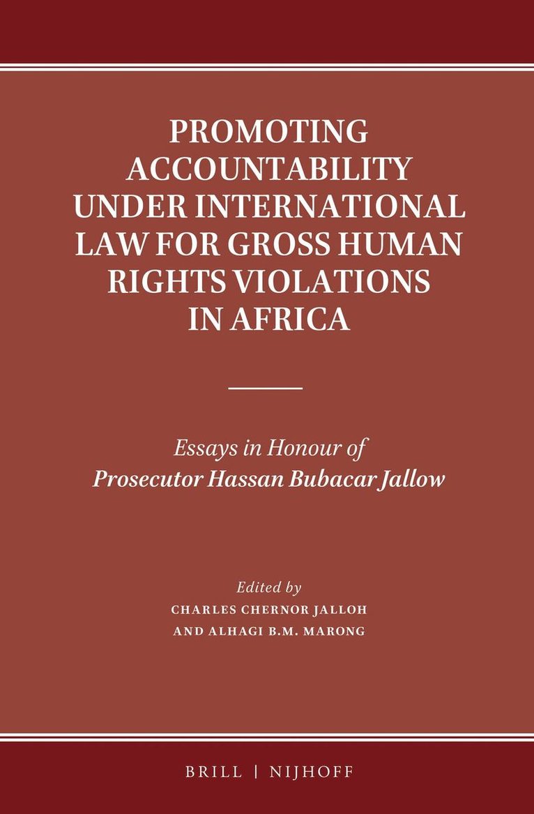 Promoting Accountability under International Law for Gross Human Rights Violations in Africa