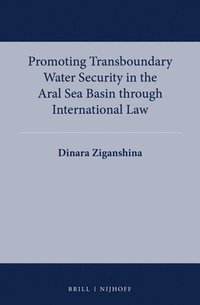 bokomslag Promoting Transboundary Water Security in the Aral Sea Basin Through International Law