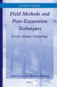 bokomslag Field Methods and Post-Excavation Techniques in Late Antique Archaeology