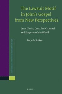 bokomslag Lawsuit Motif in John's Gospel from New Perspectives
