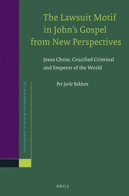 bokomslag Lawsuit Motif in John's Gospel from New Perspectives