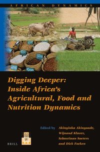 bokomslag Digging Deeper: Inside Africa's Agricultural, Food and Nutrition Dynamics