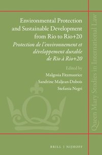 bokomslag Environmental Protection and Sustainable Development from Rio to Rio+20