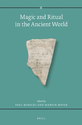 bokomslag Magic and Ritual in the Ancient World