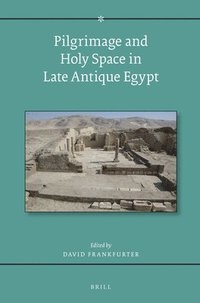 bokomslag Pilgrimage and Holy Space in Late Antique Egypt