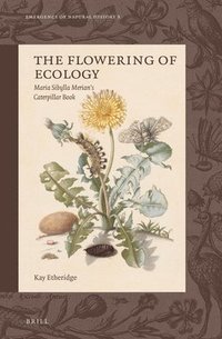 bokomslag Flowering of Ecology