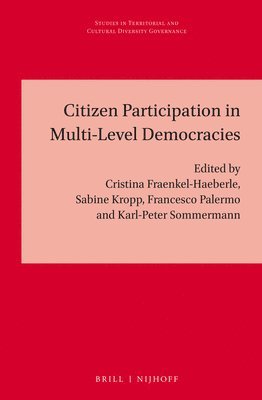 bokomslag Citizen Participation in Multi-level Democracies