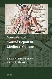 bokomslag Wounds and Wound Repair in Medieval Culture
