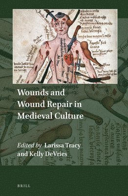 bokomslag Wounds and Wound Repair in Medieval Culture