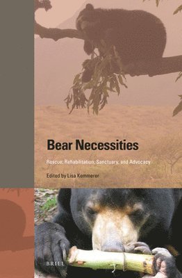bokomslag Bear Necessities