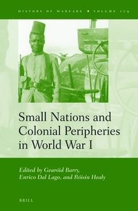 bokomslag Small Nations and Colonial Peripheries in World War I