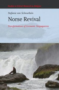 bokomslag Norse Revival