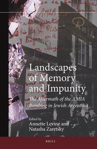 bokomslag Landscapes of Memory and Impunity