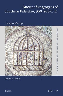 bokomslag Ancient Synagogues of Southern Palestine, 300-800 C.E.
