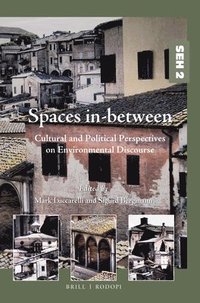 bokomslag Spaces in-between