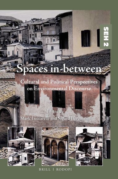 Mark Luccarelli, Sigurd Bergmann - Spaces in-between, Häftad