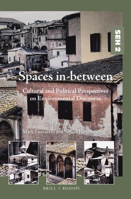 bokomslag Spaces in-between