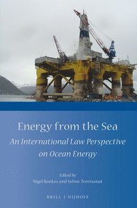bokomslag Energy from the Sea