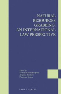 bokomslag Natural Resources Grabbing: An International Law Perspective