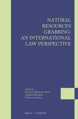 bokomslag Natural Resources Grabbing: An International Law Perspective