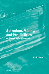 bokomslag Splendour, Misery, and Possibilities