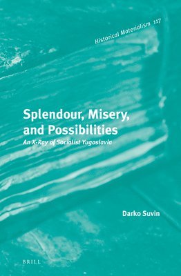 bokomslag Splendour, Misery, and Possibilities