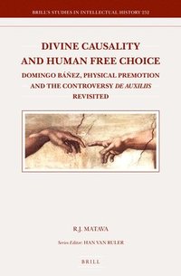 bokomslag Divine Causality and Human Free Choice: Domingo Báñez, Physical Premotion and the Controversy de Auxiliis Revisited
