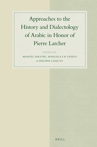 bokomslag Approaches to the History and Dialectology of Arabic in Honor of Pierre Larcher