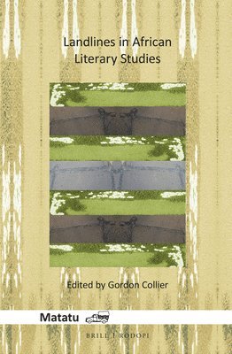bokomslag Landlines in African Literary Studies