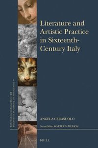 bokomslag Literature and Artistic Practice in Sixteenth-Century Italy