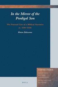 bokomslag In the Mirror of the Prodigal Son: The Pastoral Uses of a Biblical Narrative (C. 1200-1550)