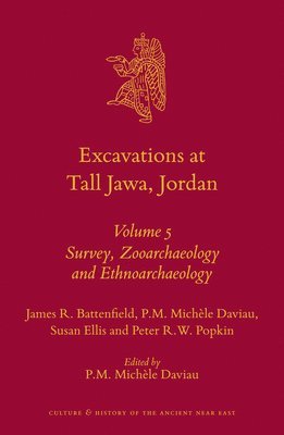 James R. Battenfield, Susan Ellis, Peter R.W. Popkin, James R Battenfield, Peter R W Popkin, P.M. Michèle Daviau, P M Michèle Daviau - Excavations at Tall Jawa, Jordan, Inbunden