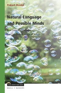bokomslag Natural Language and Possible Minds