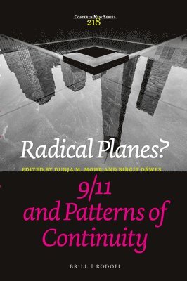 Dunja M. Mohr - Radical Planes? 9/11 and Patterns of Continuity, Inbunden