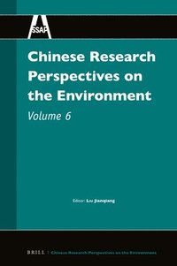 bokomslag Chinese Research Perspectives on the Environment, Volume 6