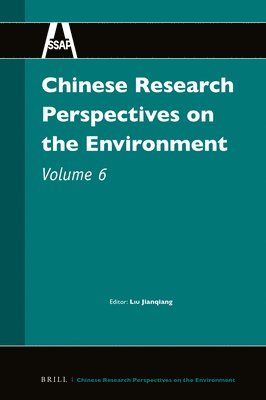 bokomslag Chinese Research Perspectives on the Environment, Volume 6