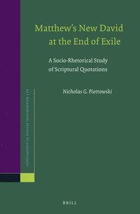 bokomslag Matthew's New David at the End of Exile