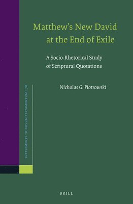 bokomslag Matthew's New David at the End of Exile