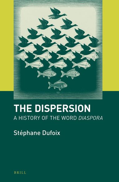 Stéphane Dufoix - Dispersion, Inbunden