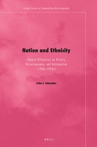 bokomslag Nation and Ethnicity