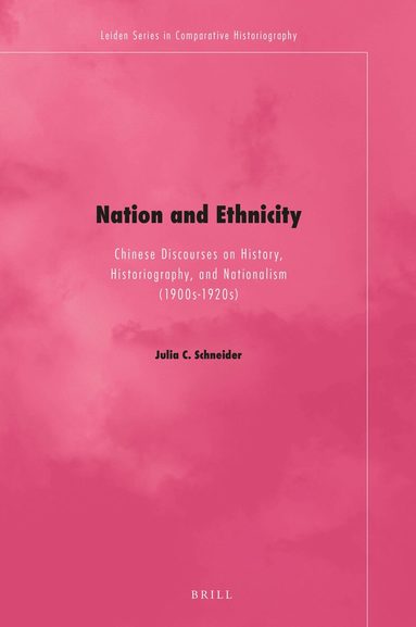 Julia C. Schneider - Nation and Ethnicity, Inbunden